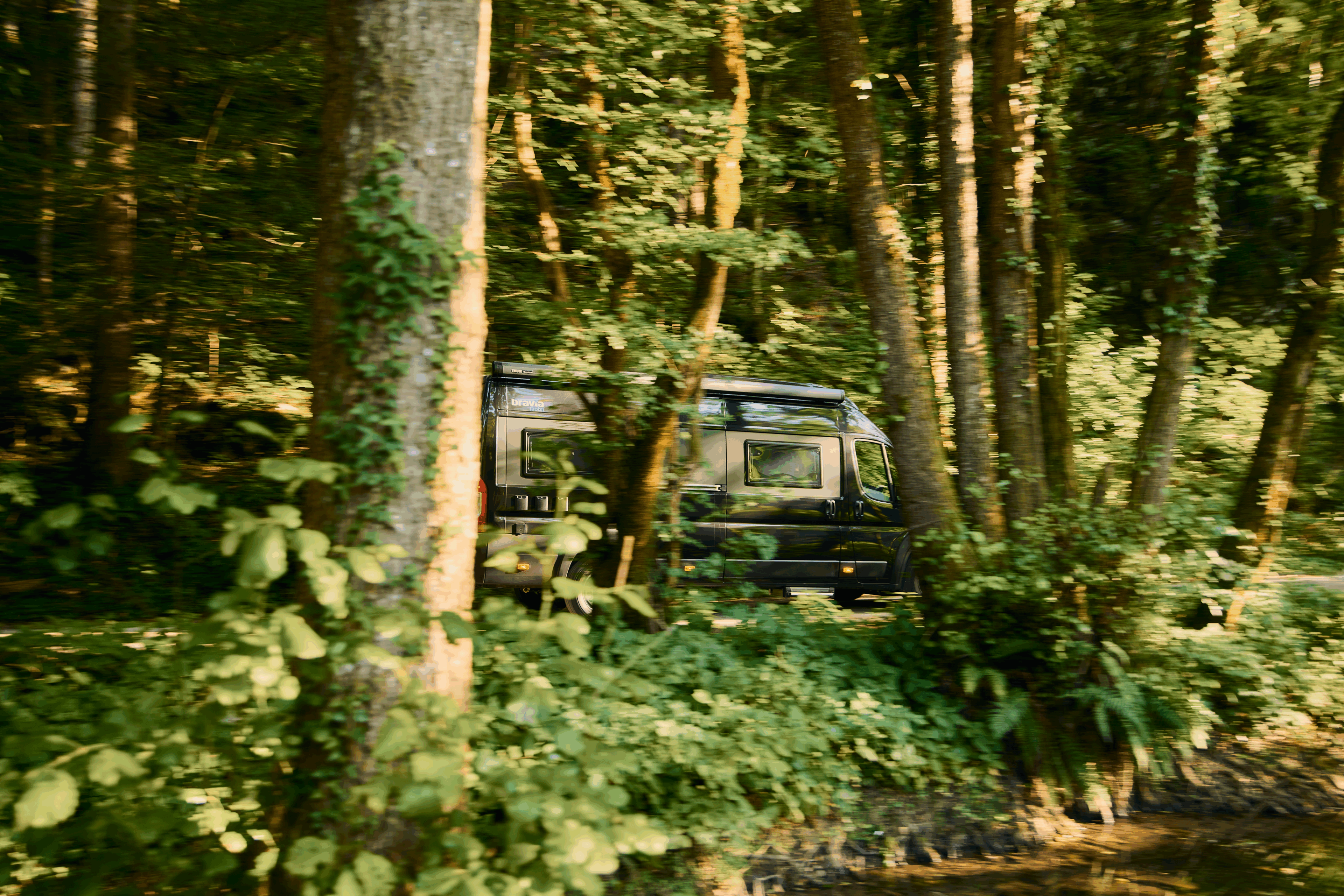 bravia-day-1329-1-png