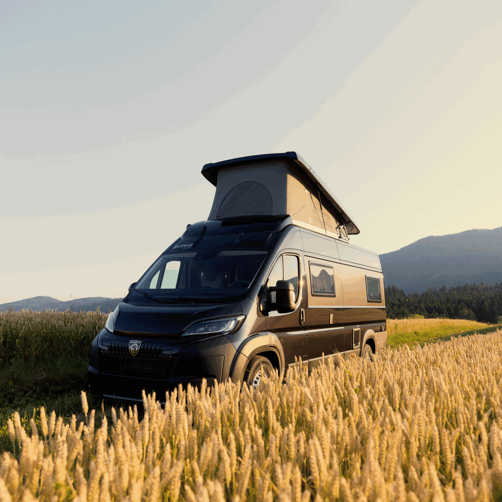 bravia-day-14970-5x-png